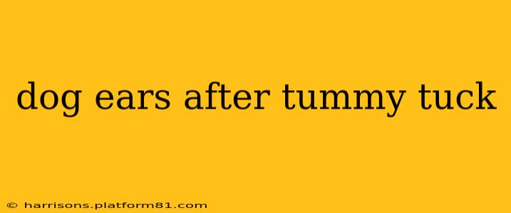 dog ears after tummy tuck