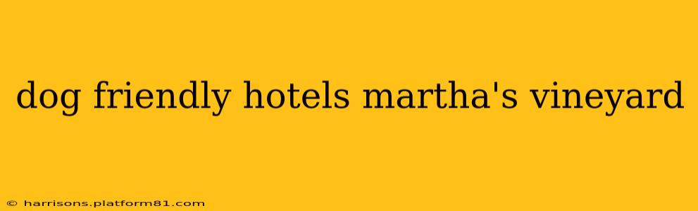 dog friendly hotels martha's vineyard