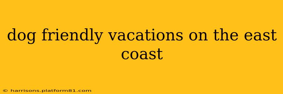 dog friendly vacations on the east coast
