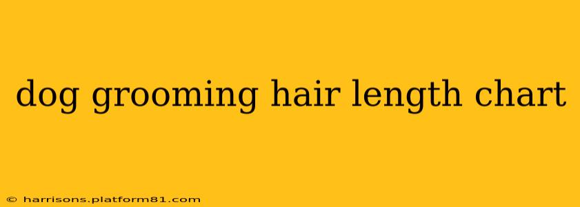 dog grooming hair length chart
