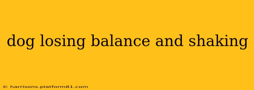 dog losing balance and shaking