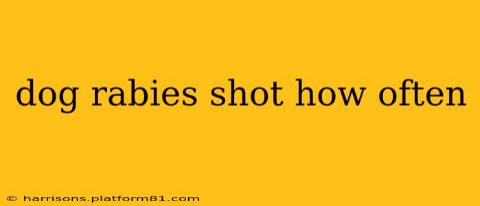 dog rabies shot how often