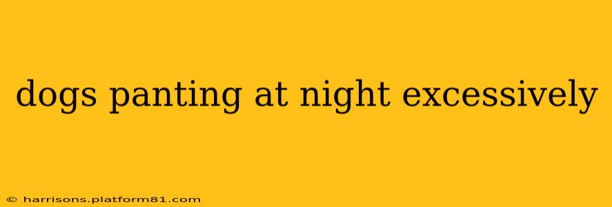 dogs panting at night excessively