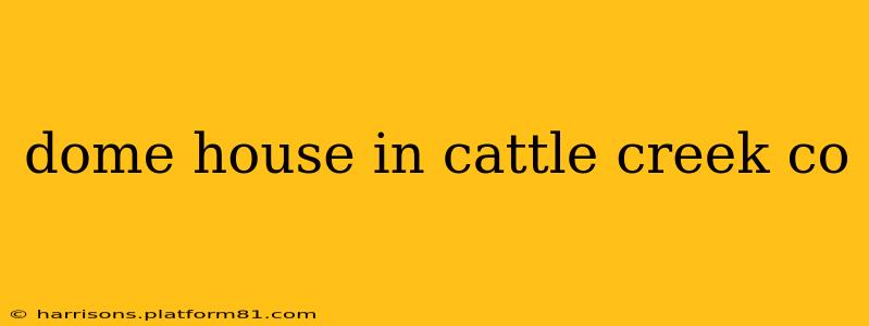 dome house in cattle creek co