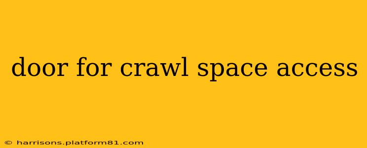 door for crawl space access