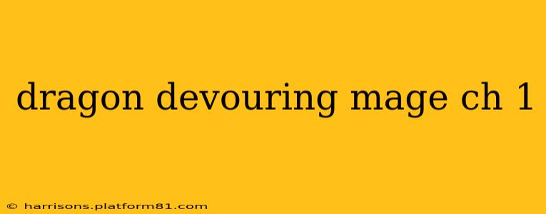 dragon devouring mage ch 1