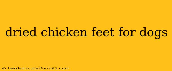 dried chicken feet for dogs