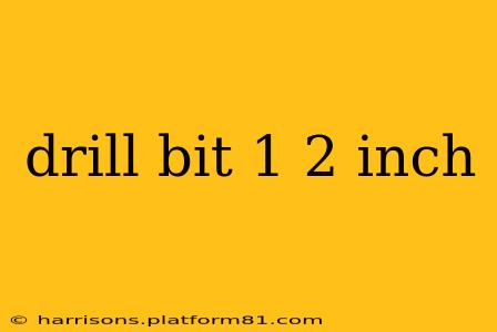 drill bit 1 2 inch