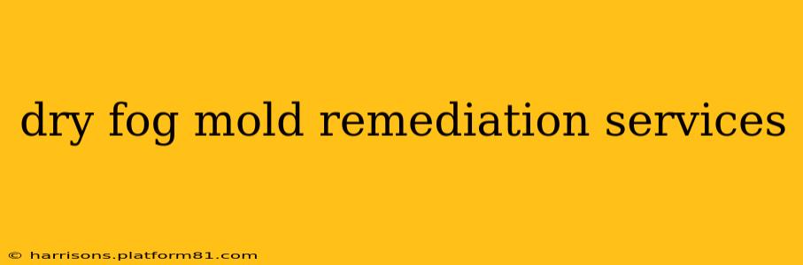 dry fog mold remediation services