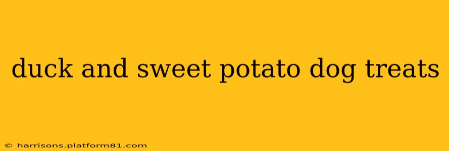 duck and sweet potato dog treats