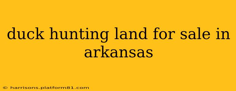 duck hunting land for sale in arkansas