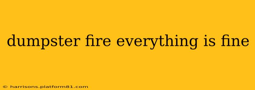 dumpster fire everything is fine