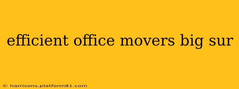 efficient office movers big sur