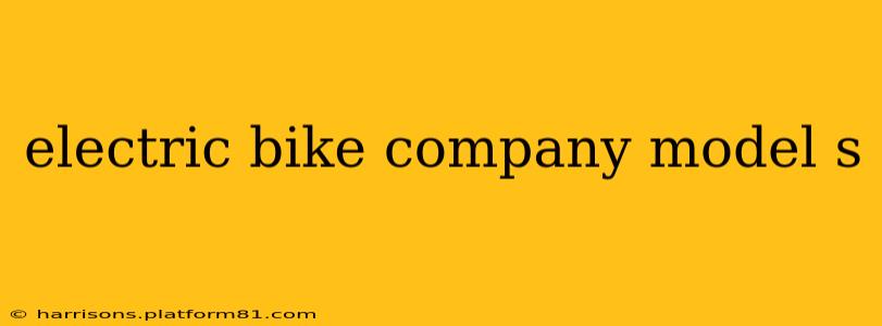 electric bike company model s