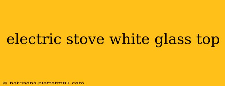 electric stove white glass top