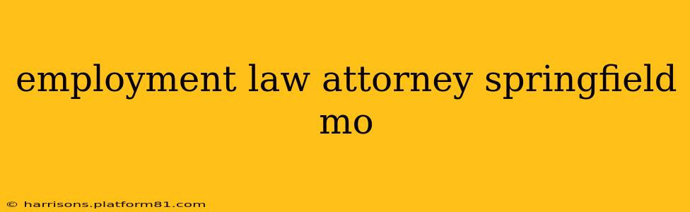 employment law attorney springfield mo