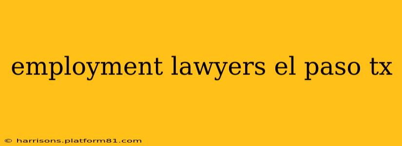 employment lawyers el paso tx