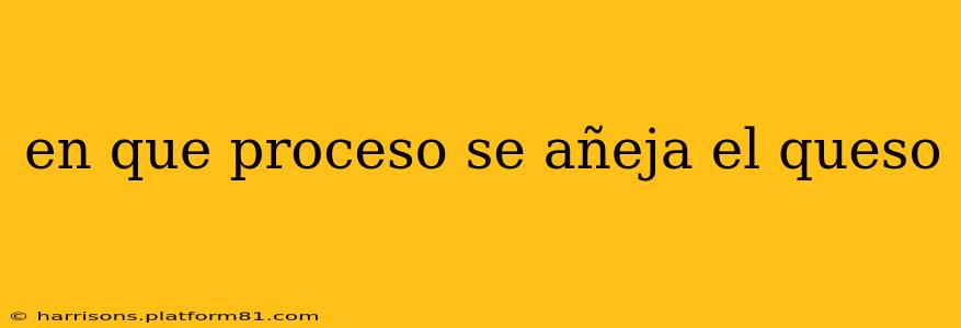 en que proceso se añeja el queso