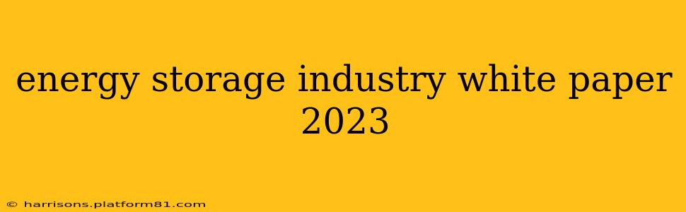 energy storage industry white paper 2023