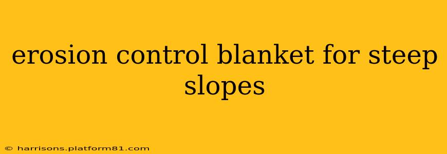 erosion control blanket for steep slopes