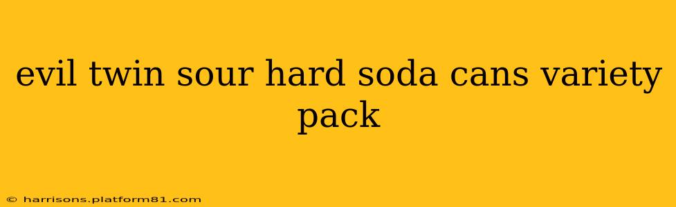 evil twin sour hard soda cans variety pack