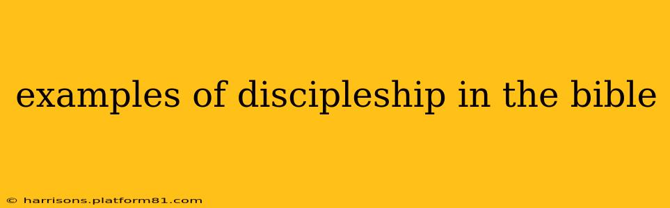 examples of discipleship in the bible