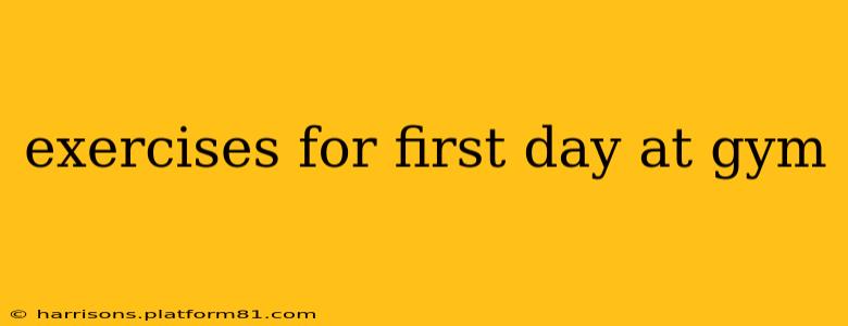 exercises for first day at gym