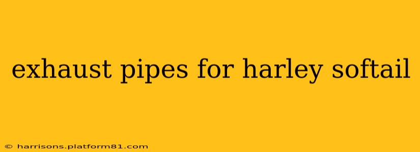 exhaust pipes for harley softail