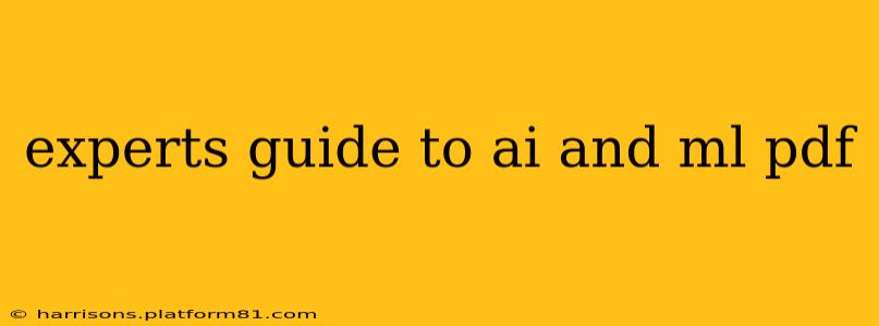 experts guide to ai and ml pdf