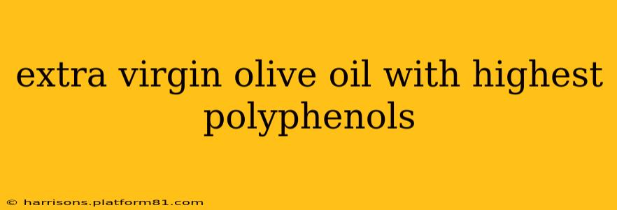 extra virgin olive oil with highest polyphenols