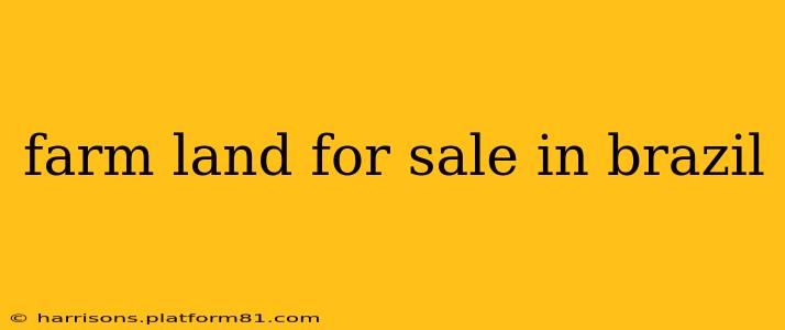 farm land for sale in brazil