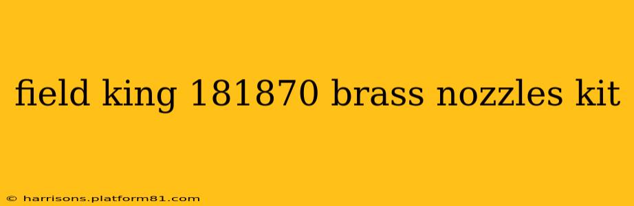 field king 181870 brass nozzles kit