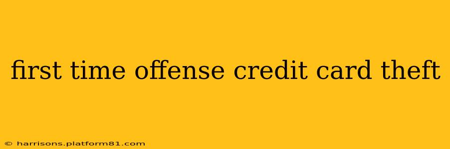 first time offense credit card theft