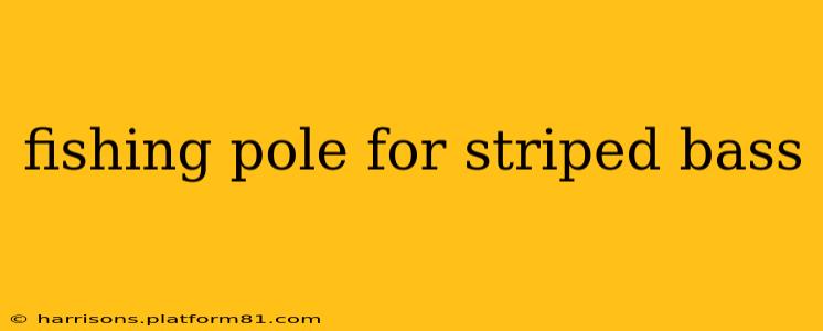 fishing pole for striped bass