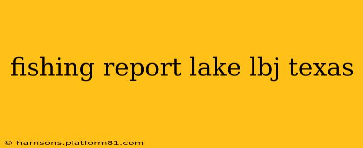 fishing report lake lbj texas