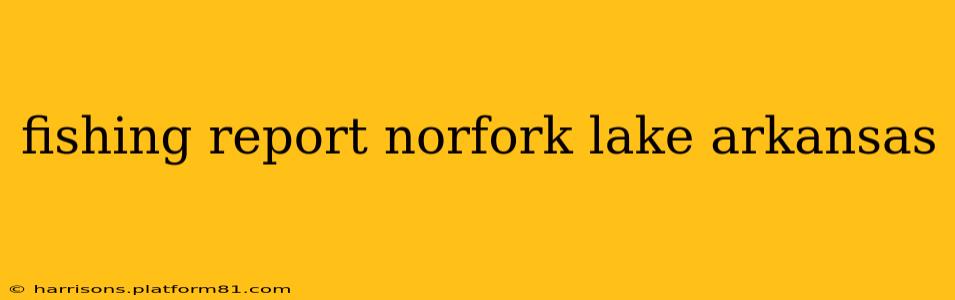 fishing report norfork lake arkansas