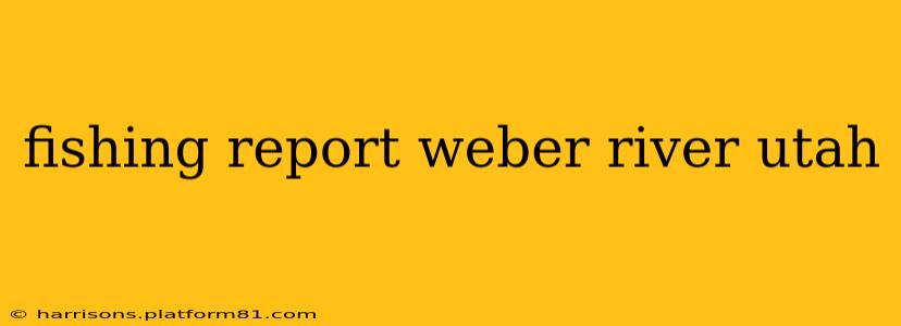 fishing report weber river utah