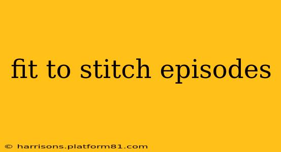 fit to stitch episodes
