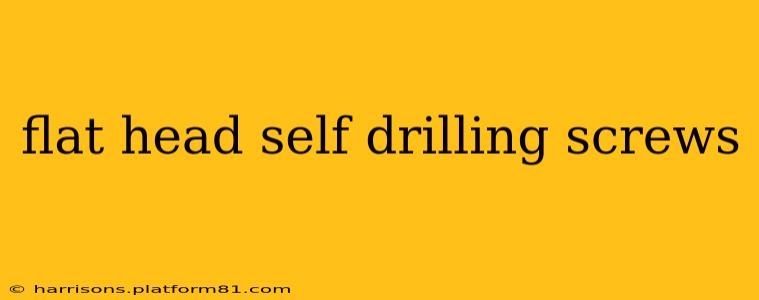 flat head self drilling screws