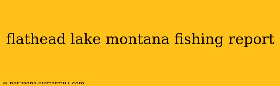 flathead lake montana fishing report
