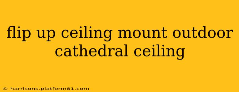 flip up ceiling mount outdoor cathedral ceiling