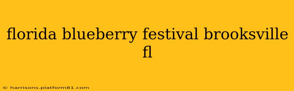 florida blueberry festival brooksville fl