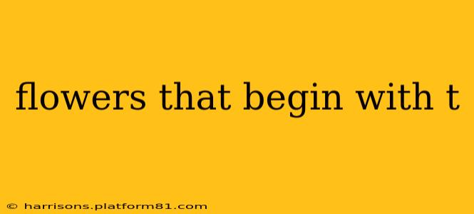 flowers that begin with t