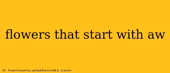 flowers that start with aw