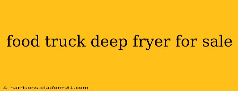 food truck deep fryer for sale