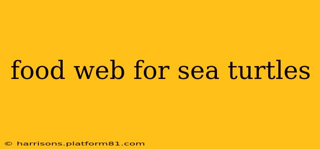 food web for sea turtles