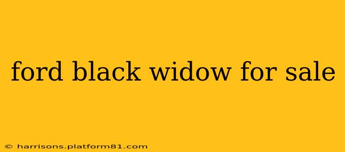 ford black widow for sale