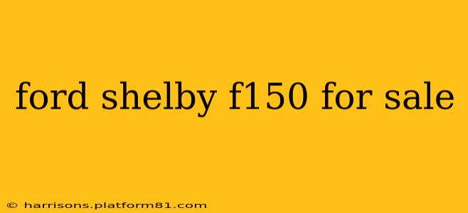 ford shelby f150 for sale