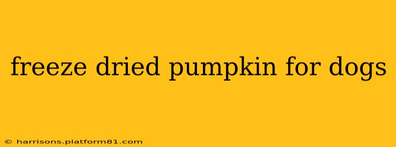 freeze dried pumpkin for dogs