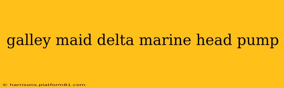 galley maid delta marine head pump